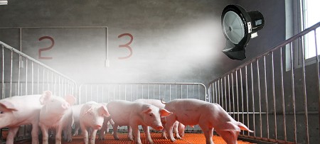 Abkühlung in Stallungen für Geflügel Kühe Schweine usw mit Rauch System
